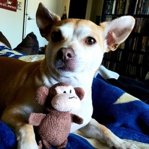 Meet your Posher, Brian